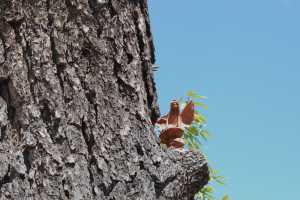 carrick hill 2014 (27)